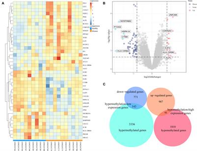 Identification of LINC00173 in Myasthenia Gravis by Integration Analysis of Aberrantly Methylated- Differentially Expressed Genes and ceRNA Networks